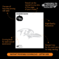 Baltimore Ravens Pumpkin Carving Stencil