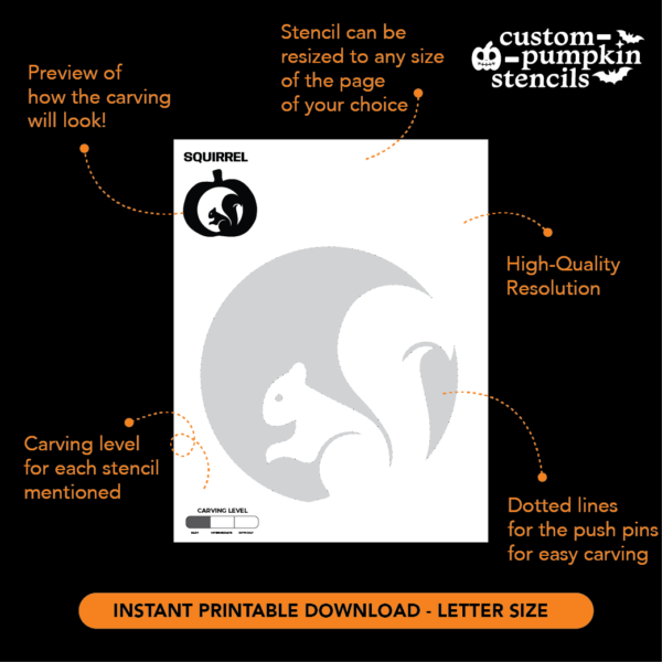 Squirrel Pumpkin Carving Stencil Squirrel Pumpkin Carving Stencil